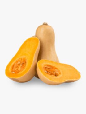 Butternut Squash